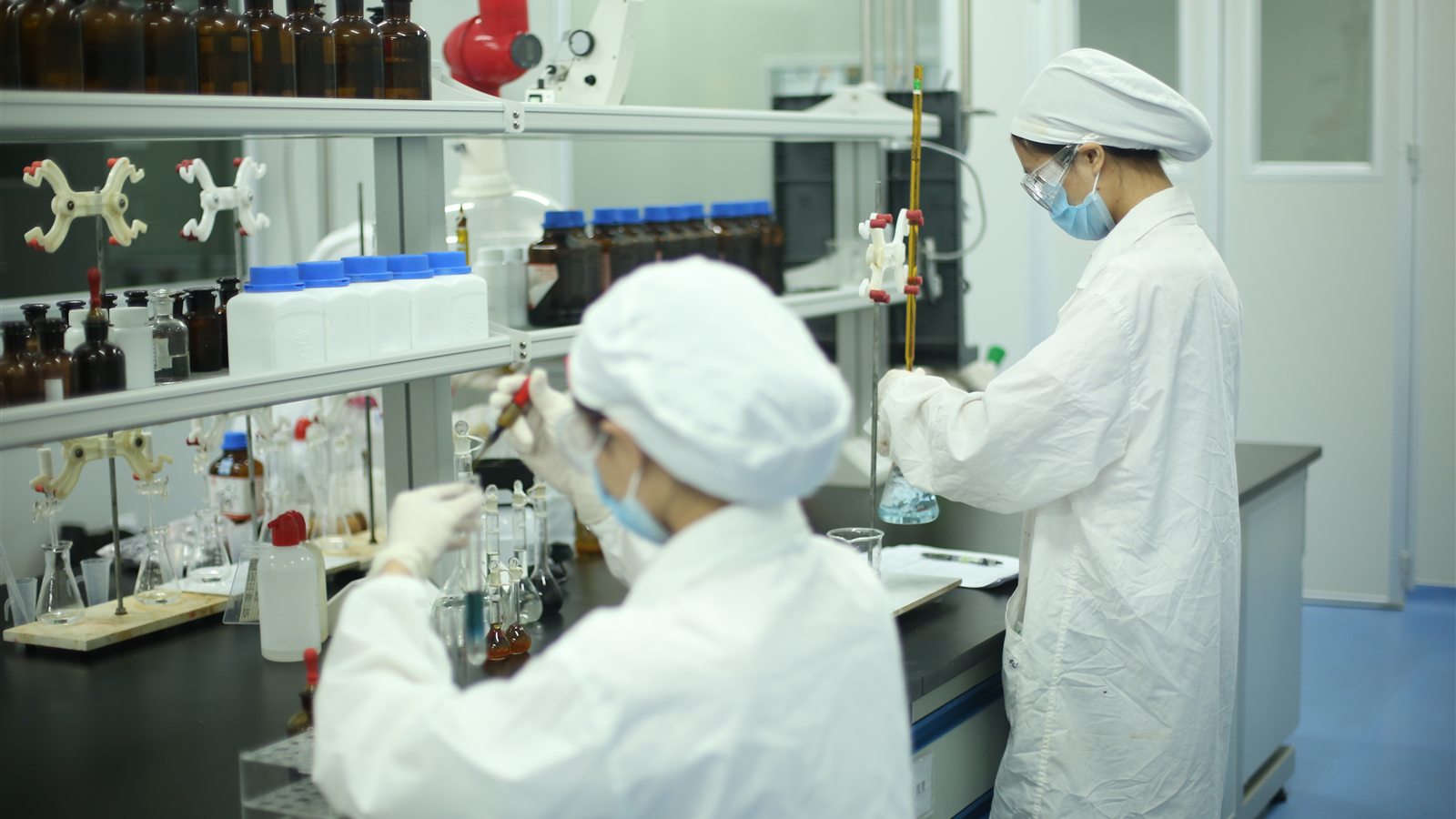 Laboratory specialists reviewing a formulation brief
